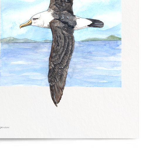 "Albatross" Print
