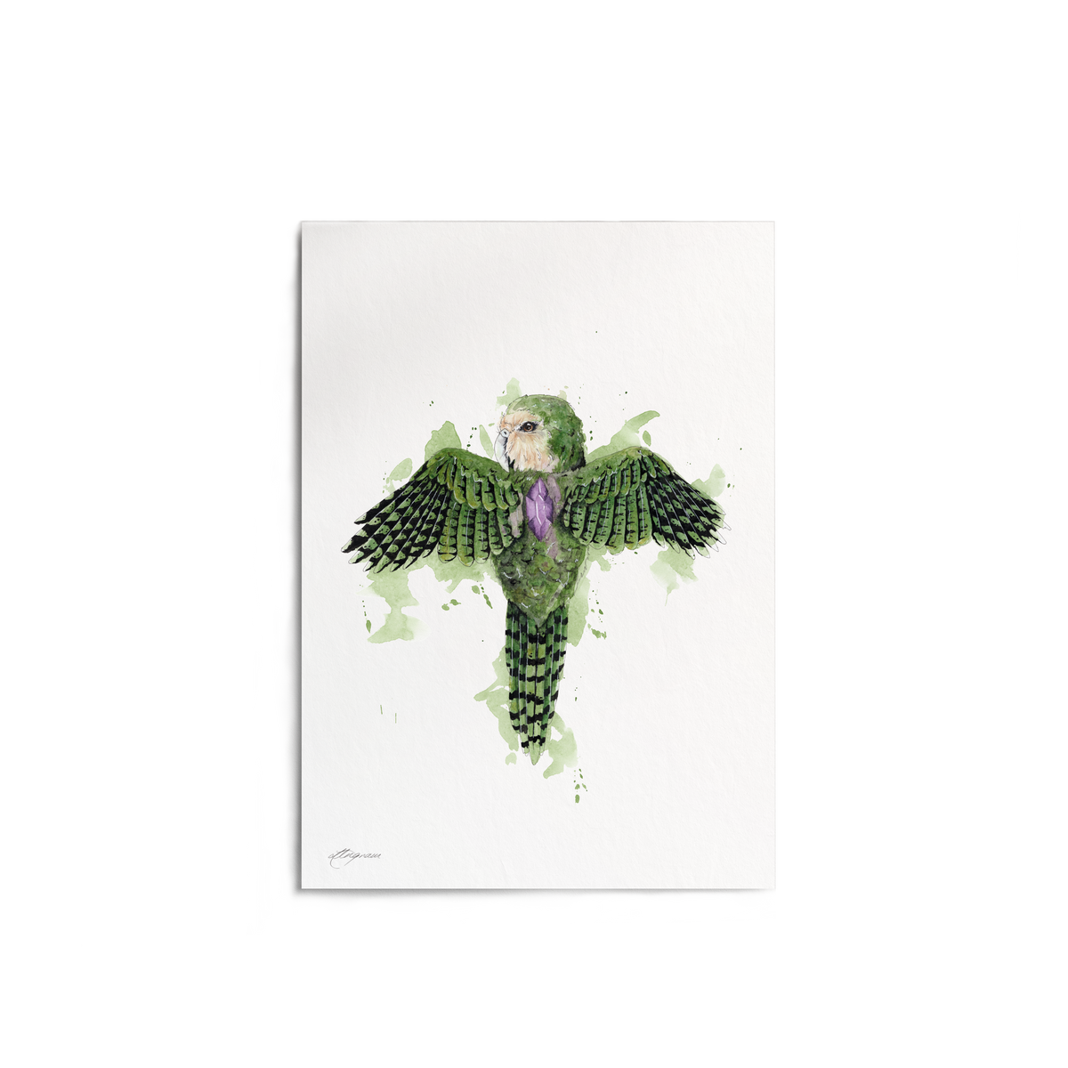 "Kakapo Amythest" Print