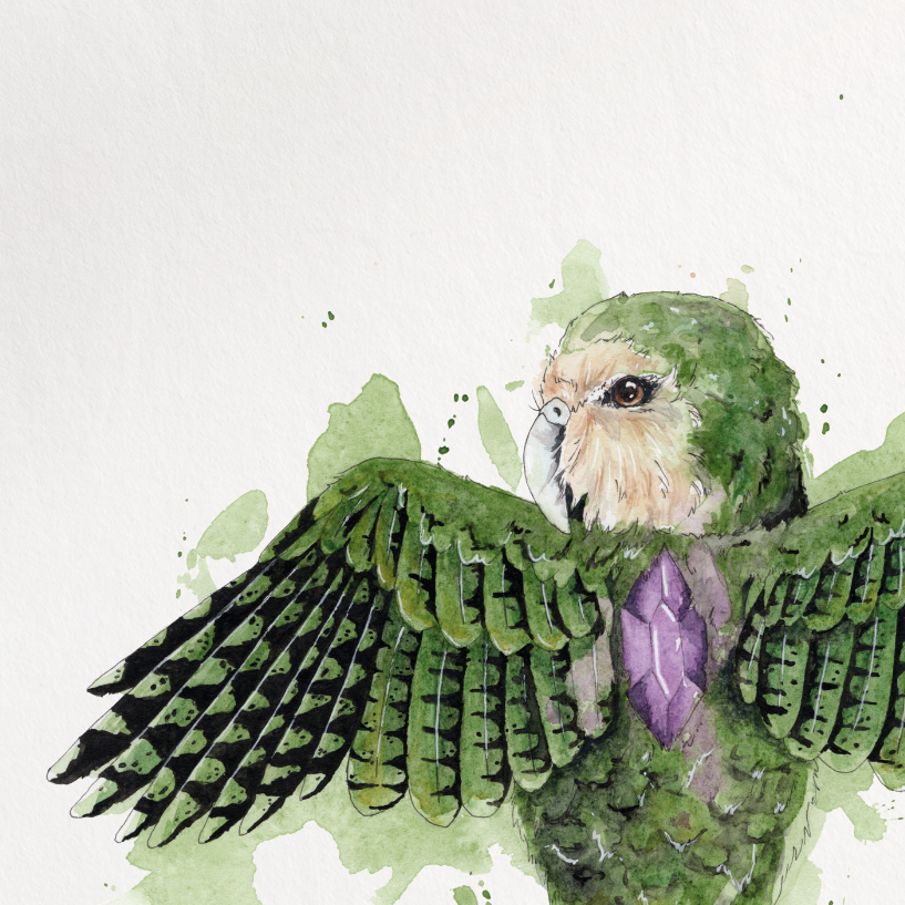 Art print of a green and black bird with a white background