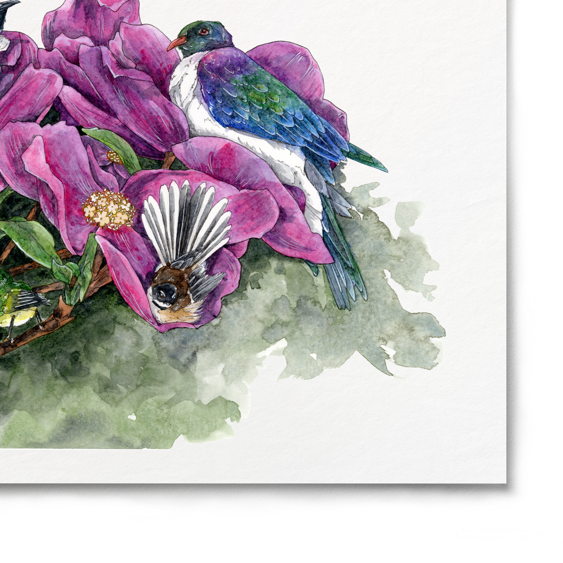 Art print of pink flowers and hummingbirds on a white background