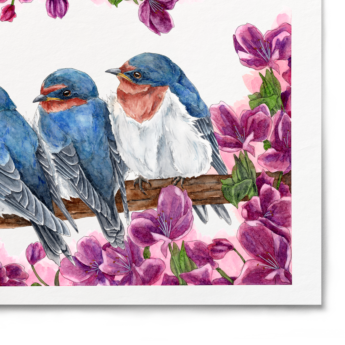 Three blue birds perched on a branch with pink flowers on a white background