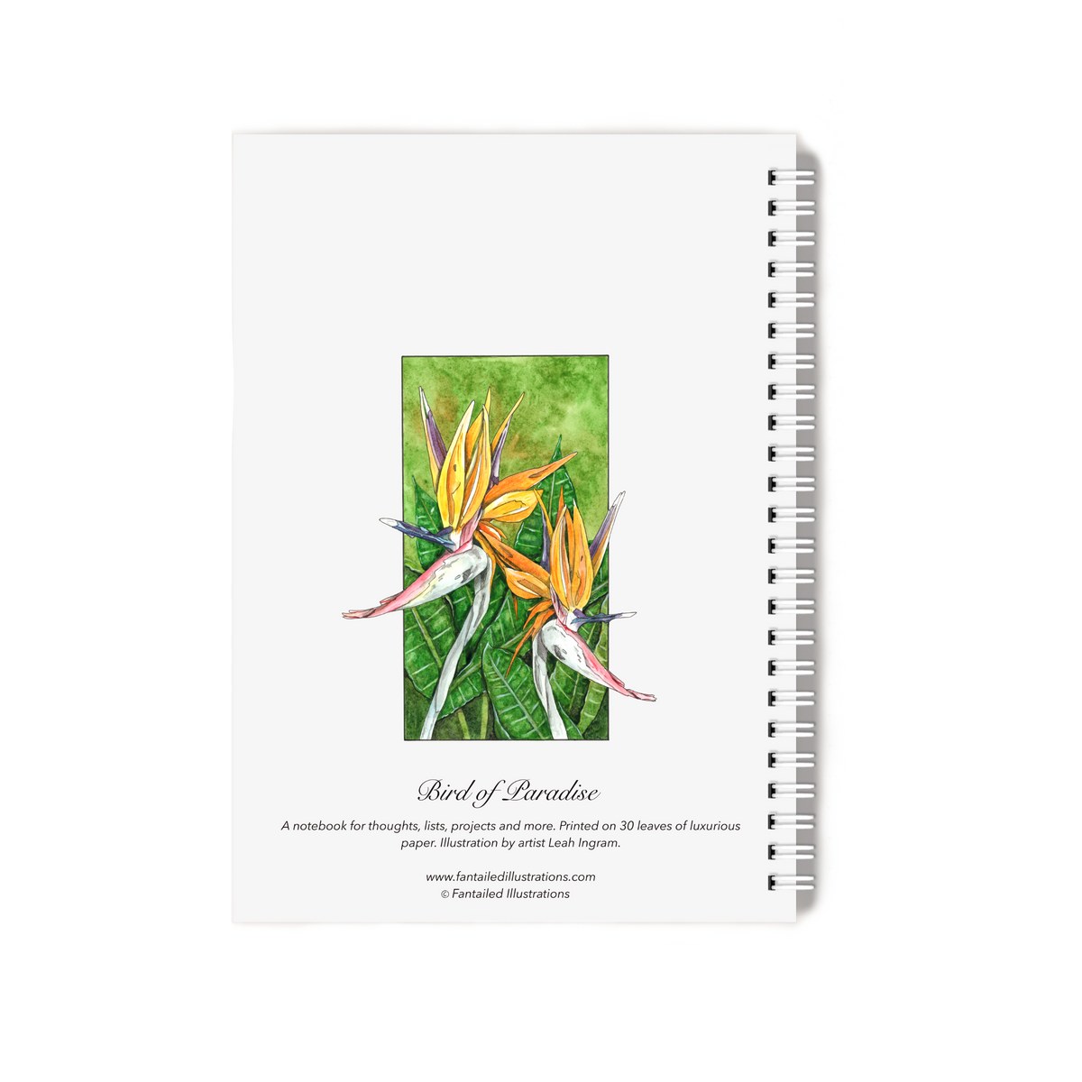 "Bird of Paradise" Notebook