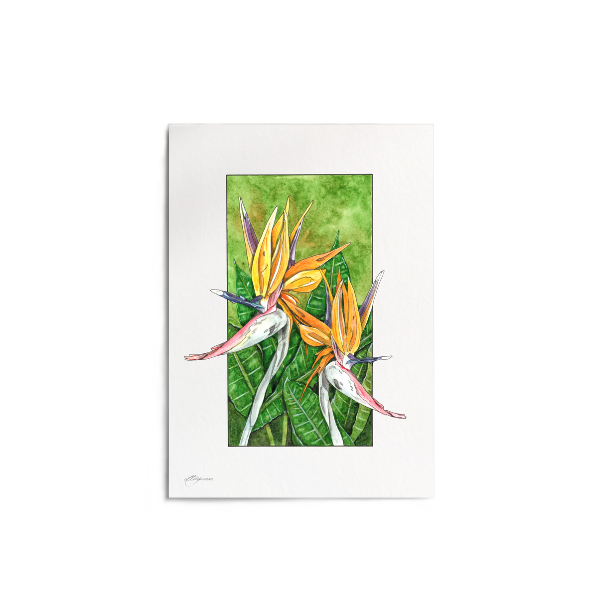 "Bird of Paradise" Print