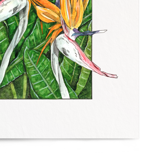 Framed artwork of tropical flowers on a white background