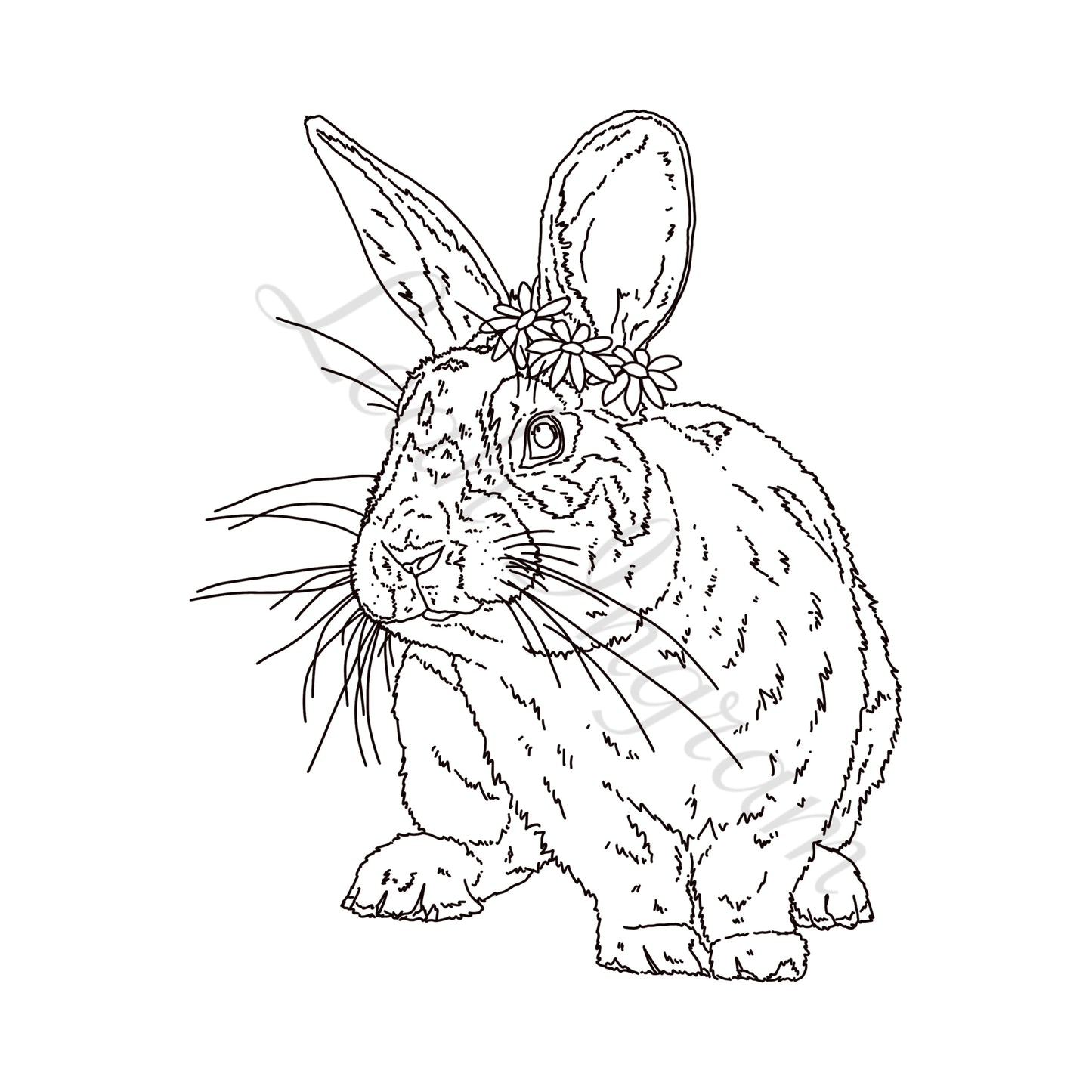 Daisy Rabbit Colour Page