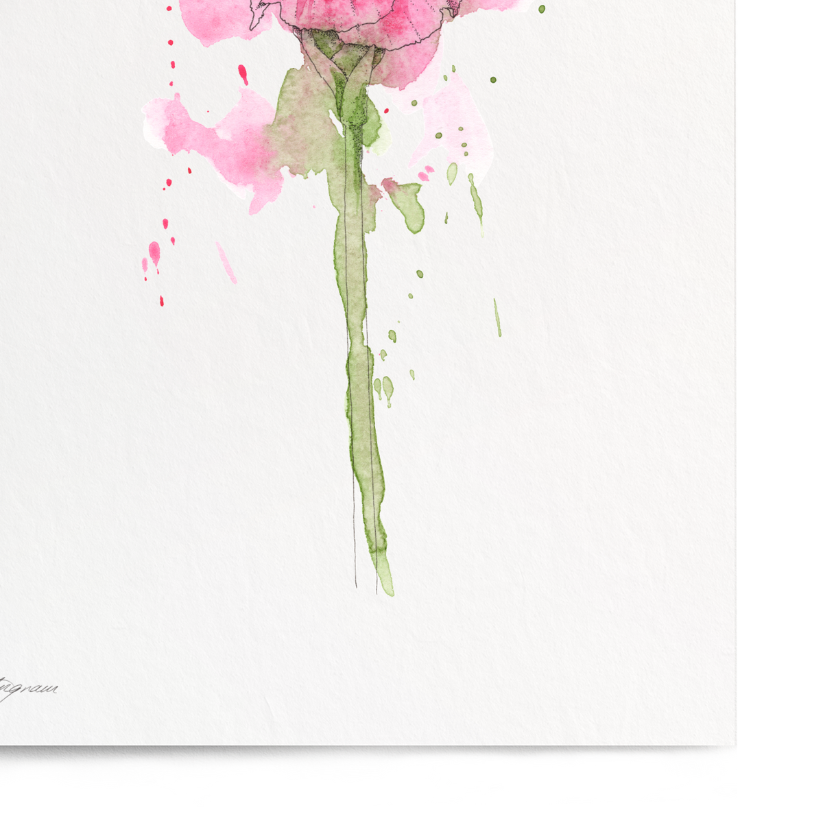 Art print of a pink flower on a white background