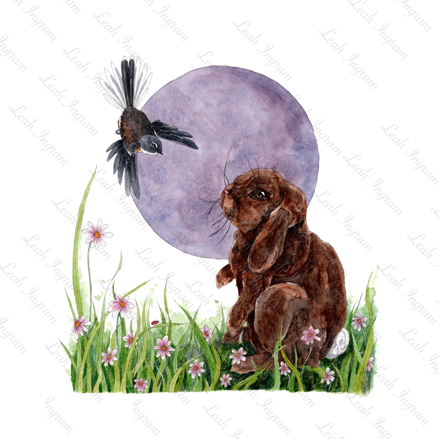 ONO Price - Curiosity Original