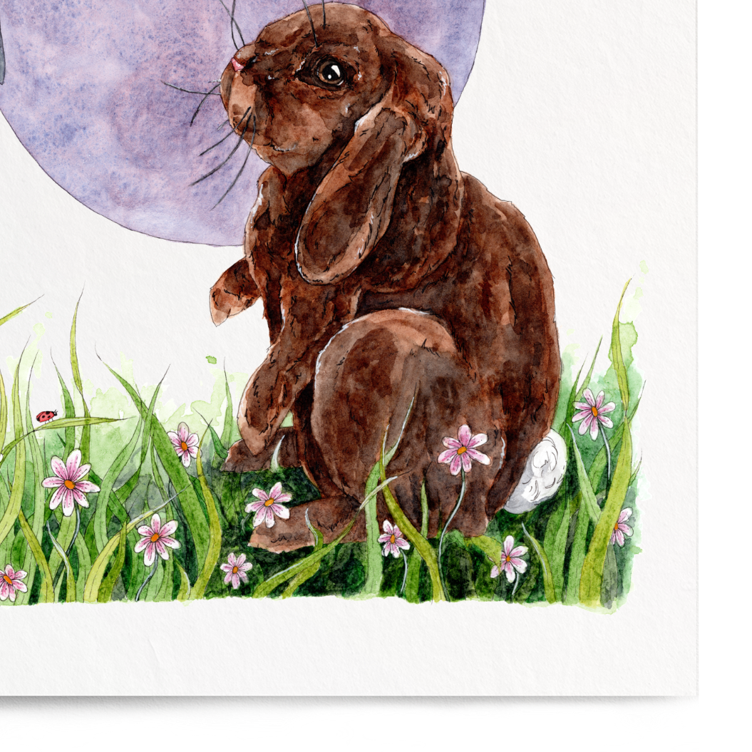 Illustration of a brown rabbit and black cat under a purple moon in a grassy field.