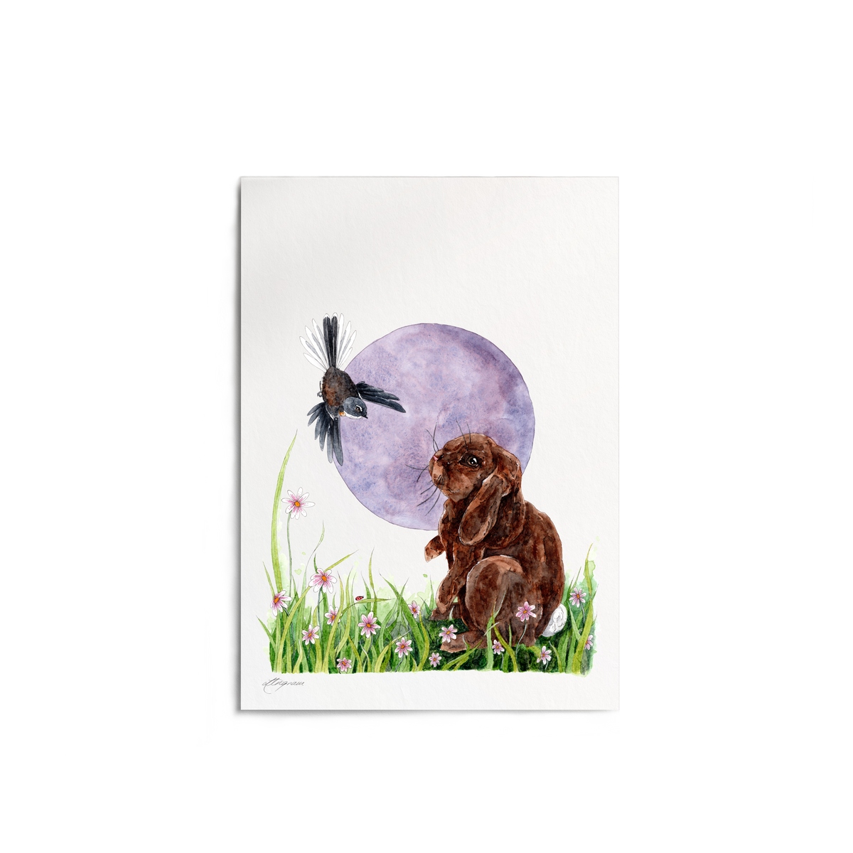 "Curiosity" Print