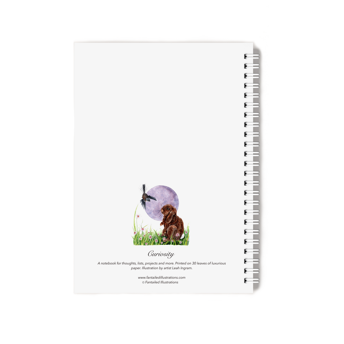 "Curiosity" Notebook