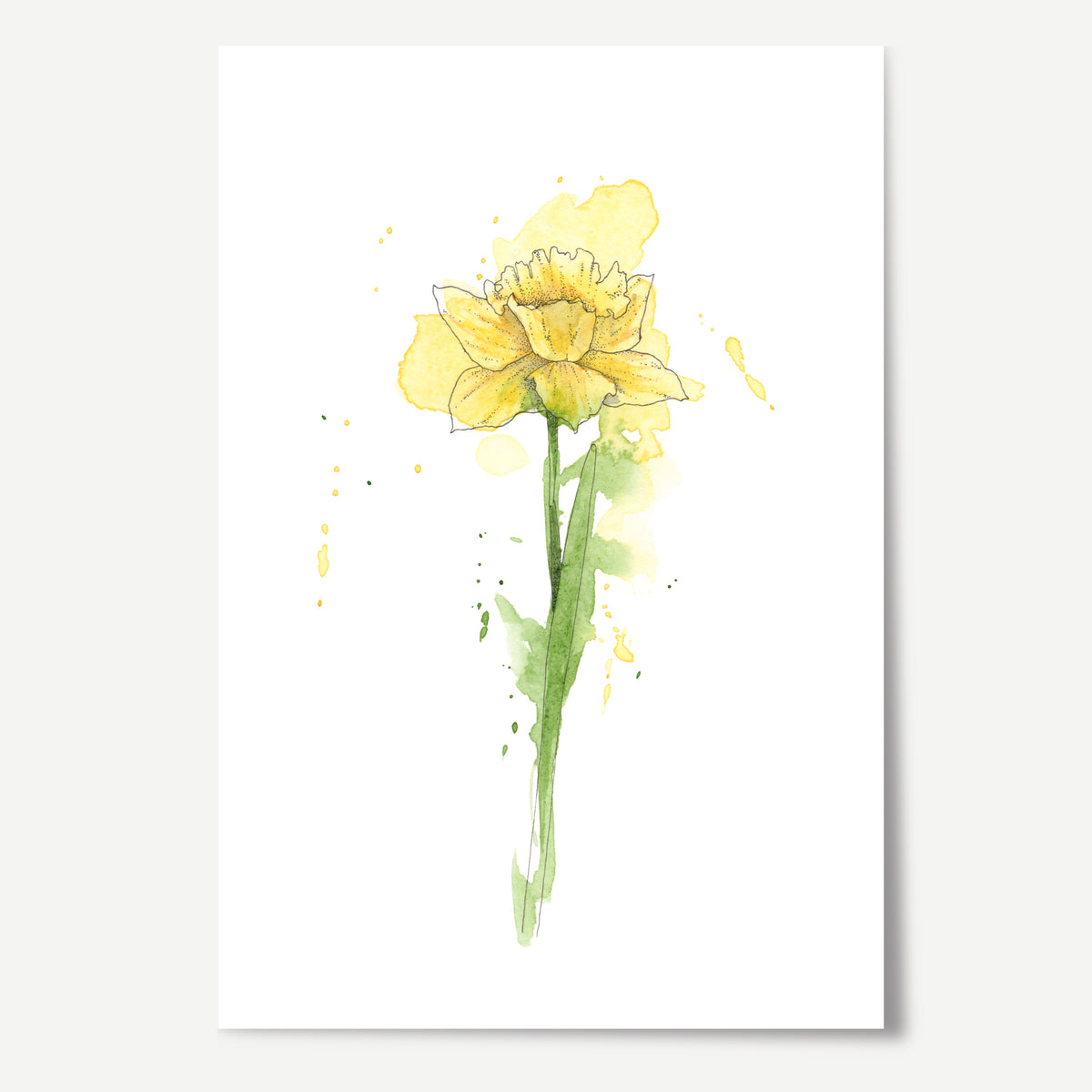 Daffodil Print