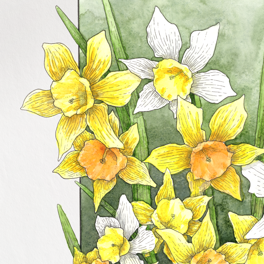 Framed artwork of yellow and white flowers on a white background