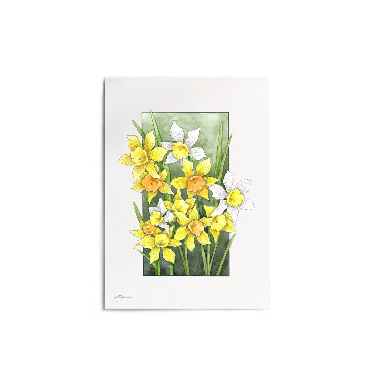 "Daffodil" Print