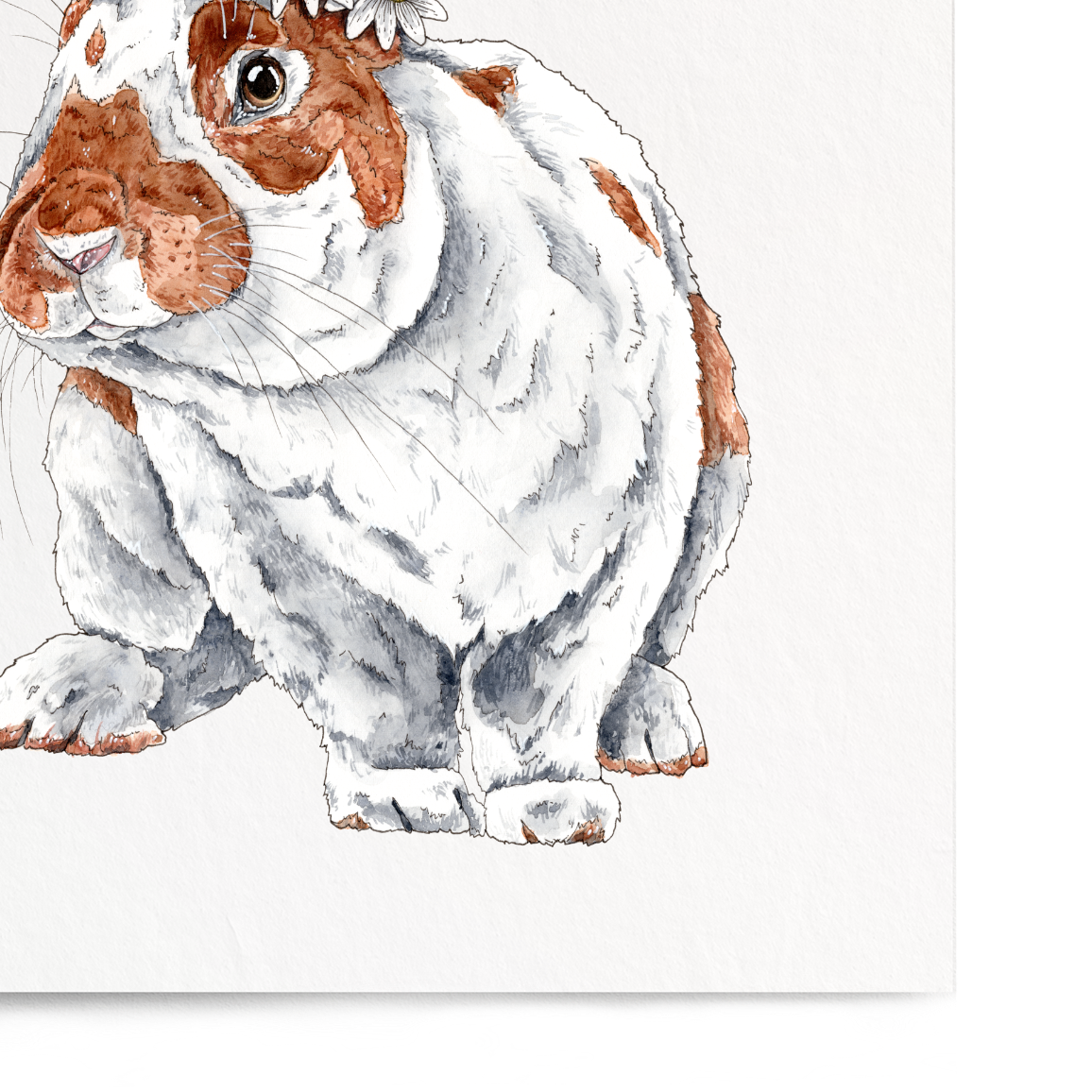 Illustration of a rabbit on a white background
