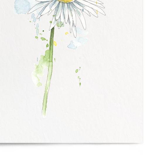 Framed artwork of a daisy on a white background