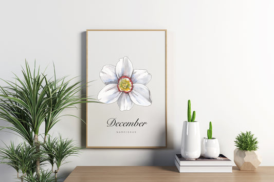December Birth Month Flower Print