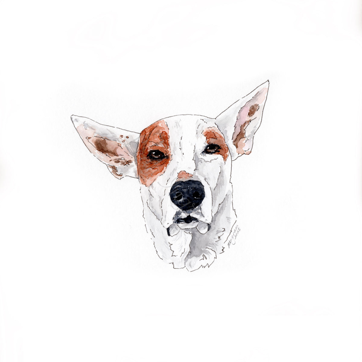 Mini Pet Portrait
