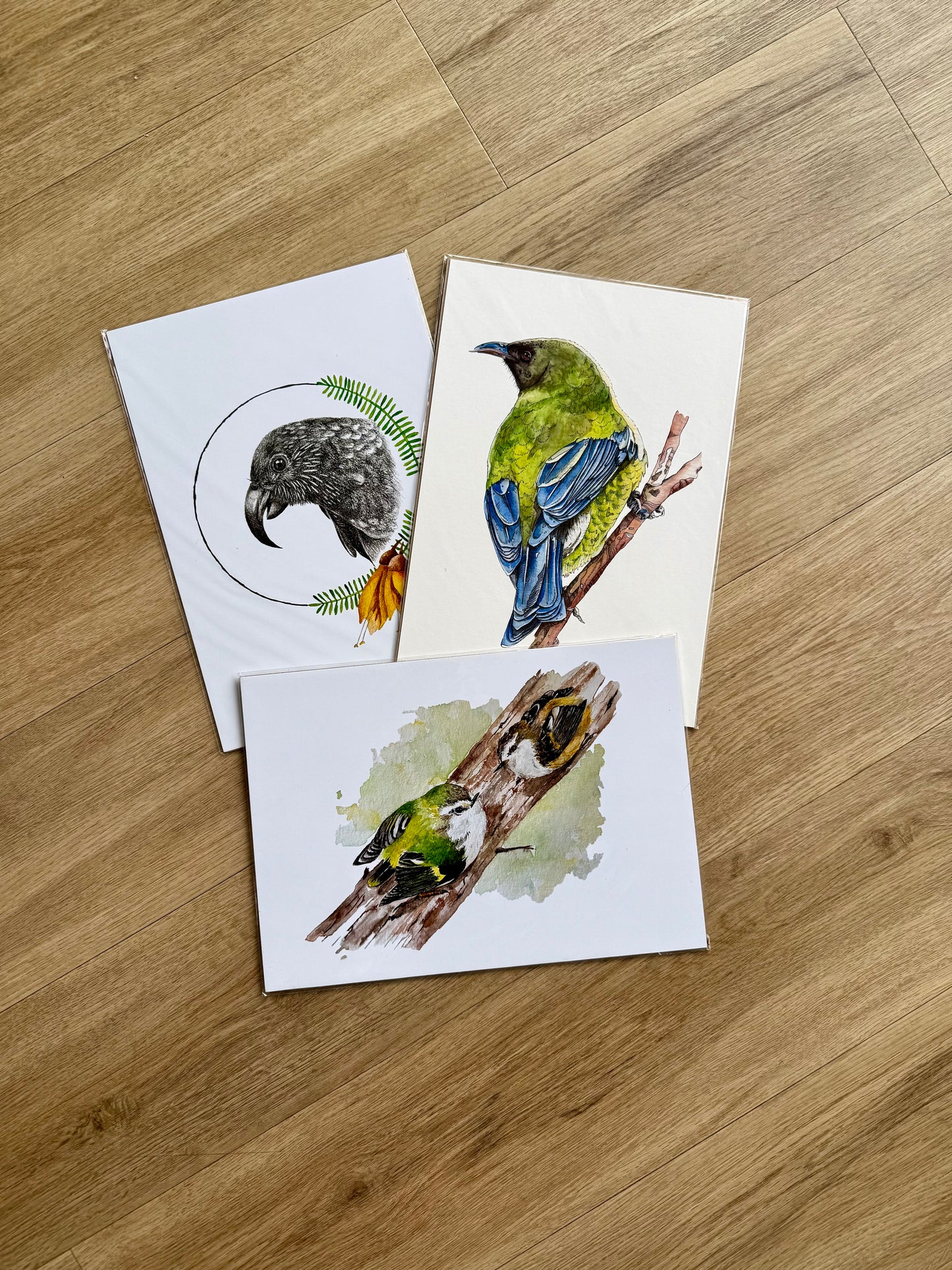 Birds 3 Pack Prints A4