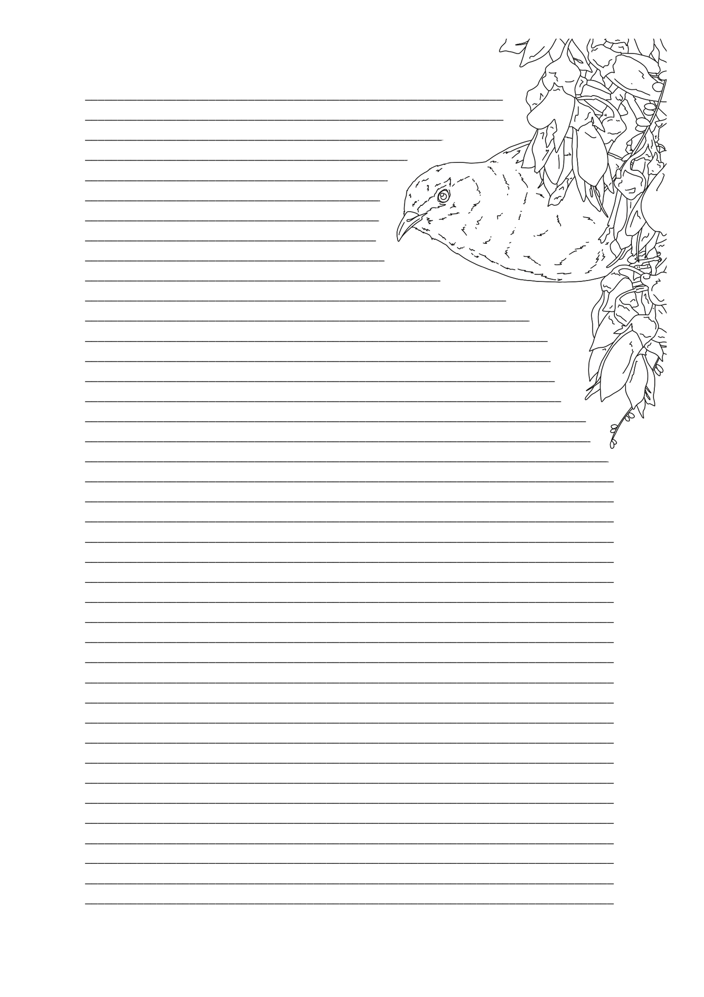 "Amythest Kākāpō" Notebook