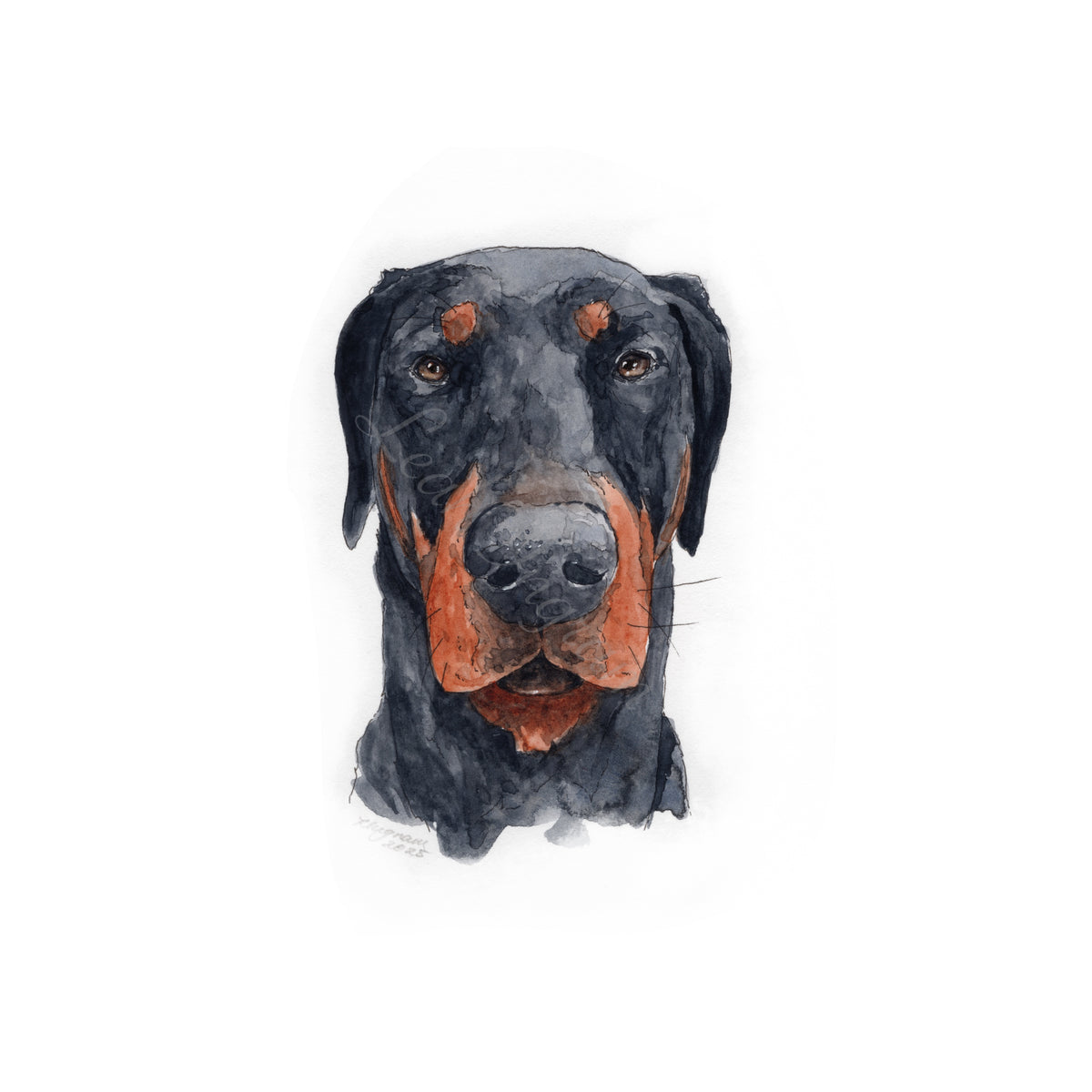 Mini Pet Portrait