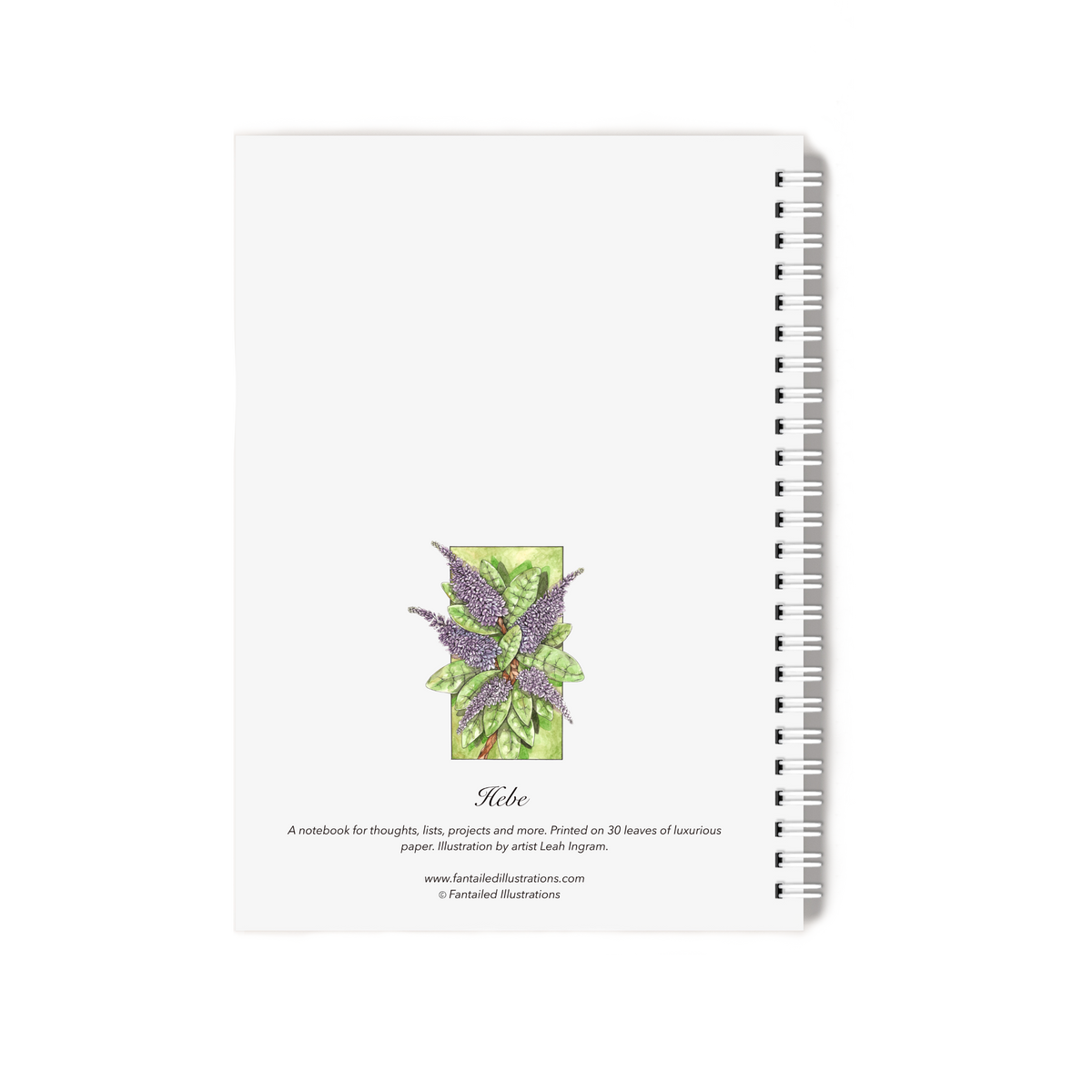 "Hebe" Notebook