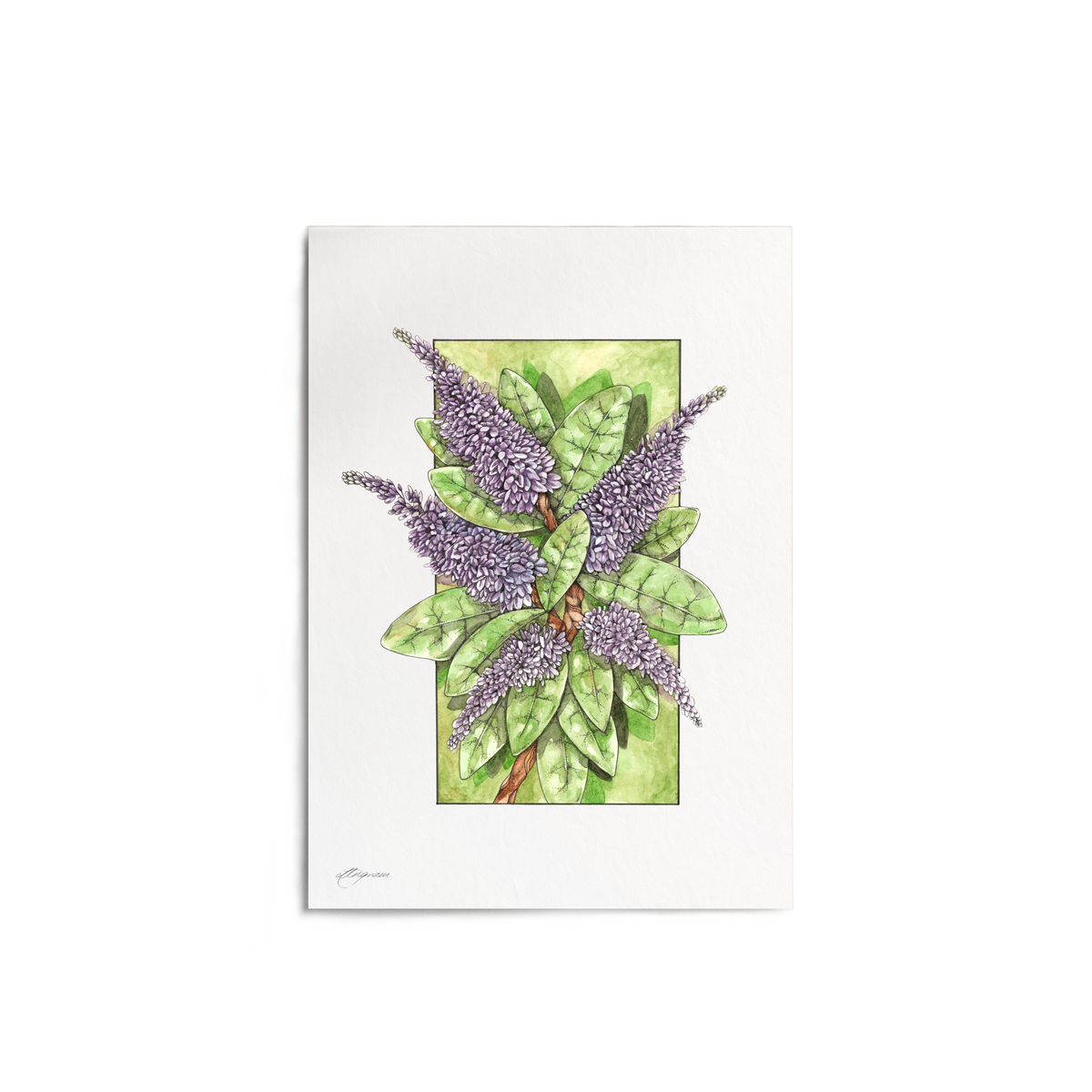 "Hebe" Print