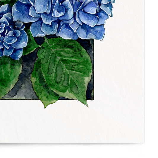 Framed artwork of blue hydrangeas on a white background