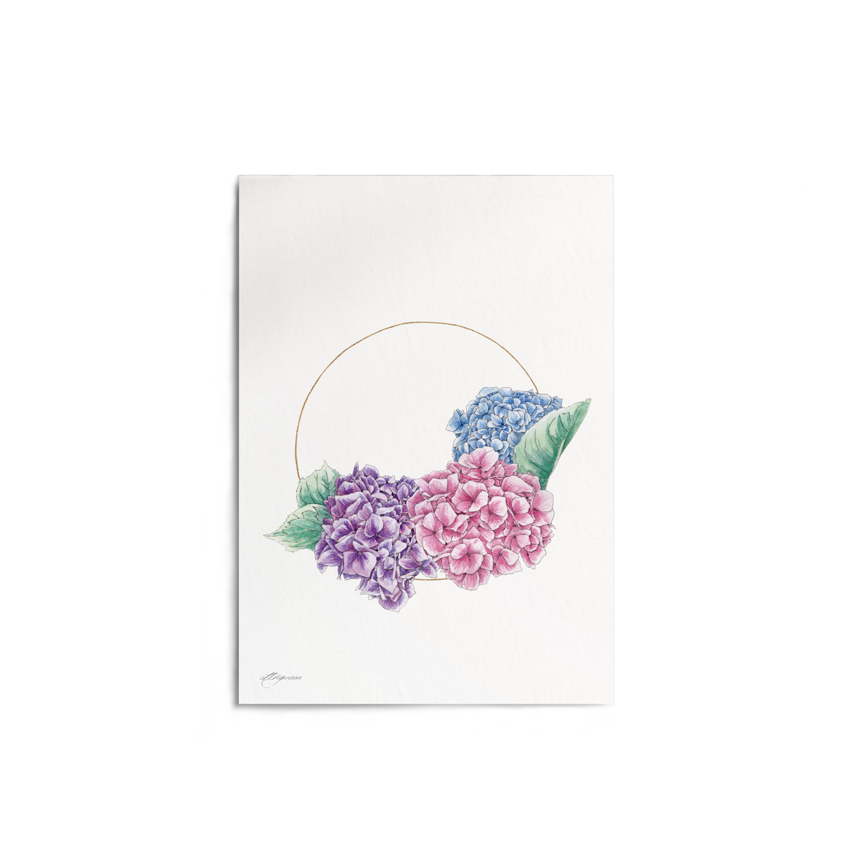 "Hydrangea in Gold" Print