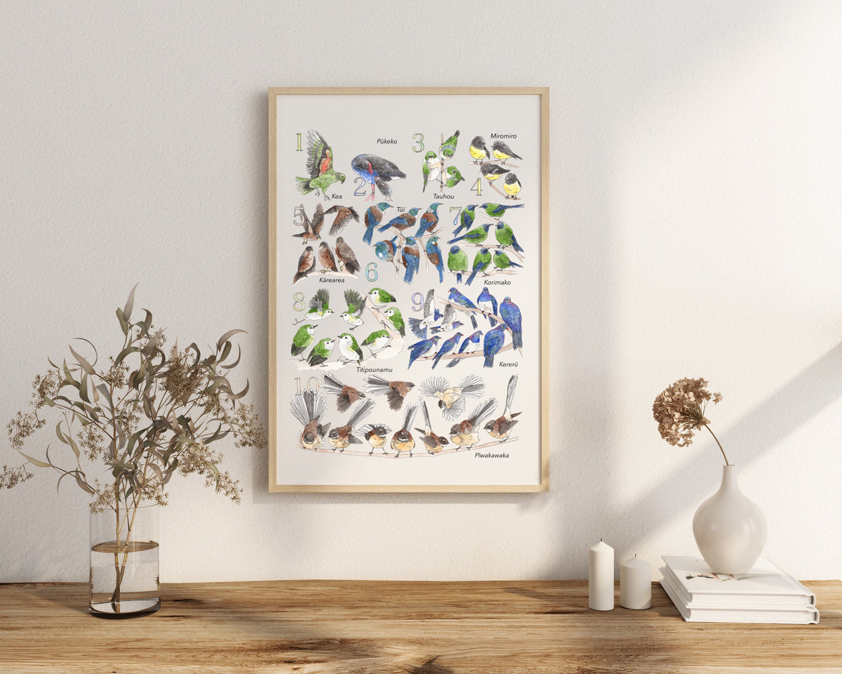 123 New Zealand Birds Print