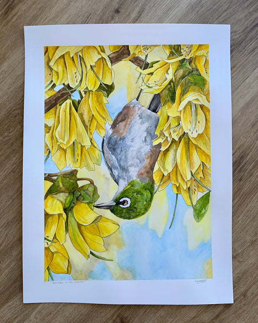 ONO Price - Tauhou in the Kōwhai Original