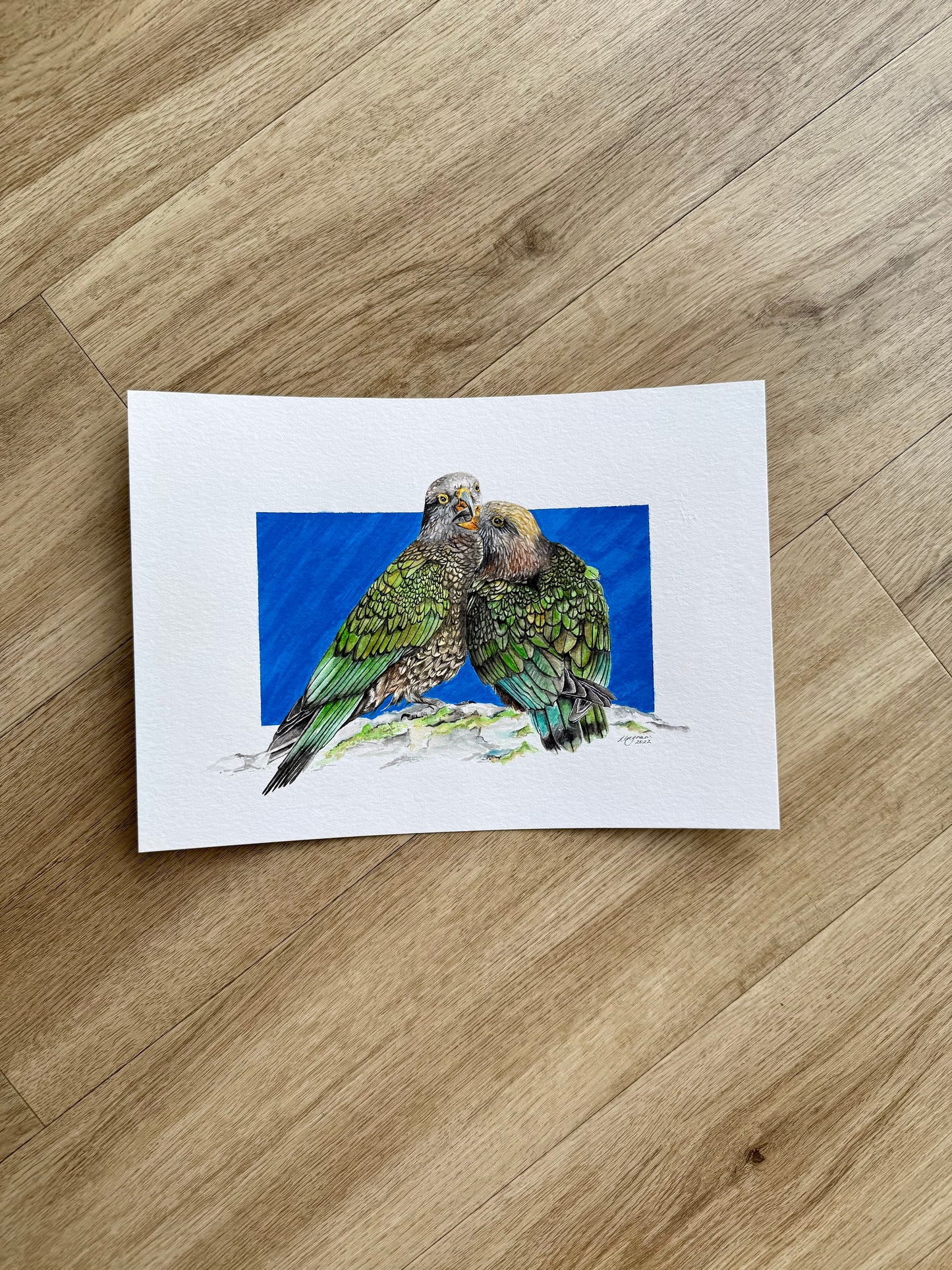 Native Pair Kea Original A4