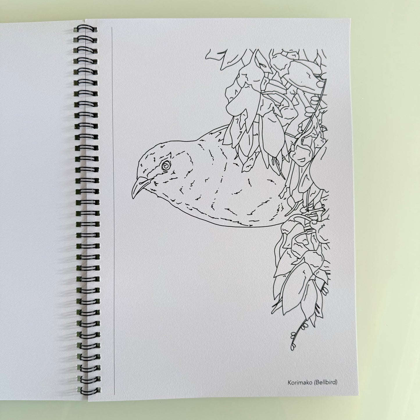 New Zealand Birds Colouring Book