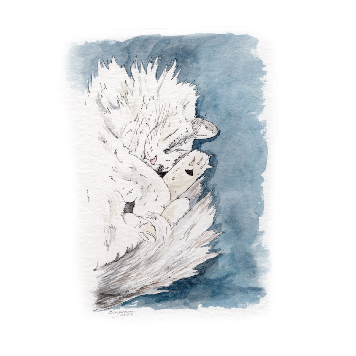 Mini Pet Portrait