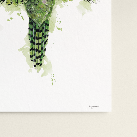 "Kakapo Amythest" Print
