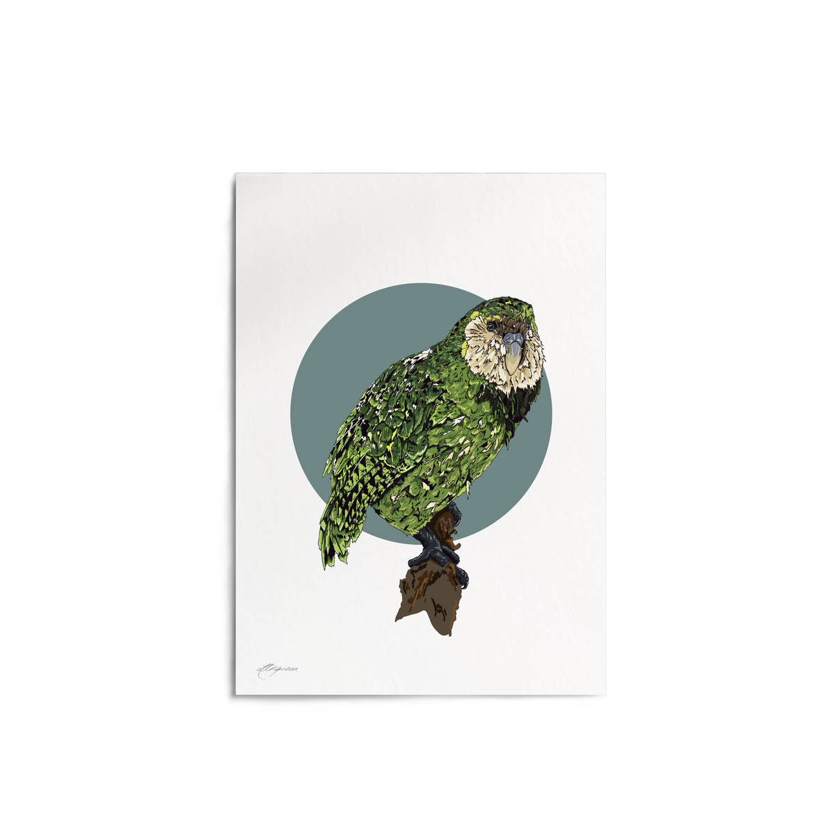 "Kākāpō" Print
