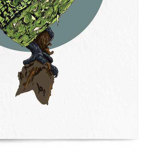 Framed artwork of a green parrot on a white background