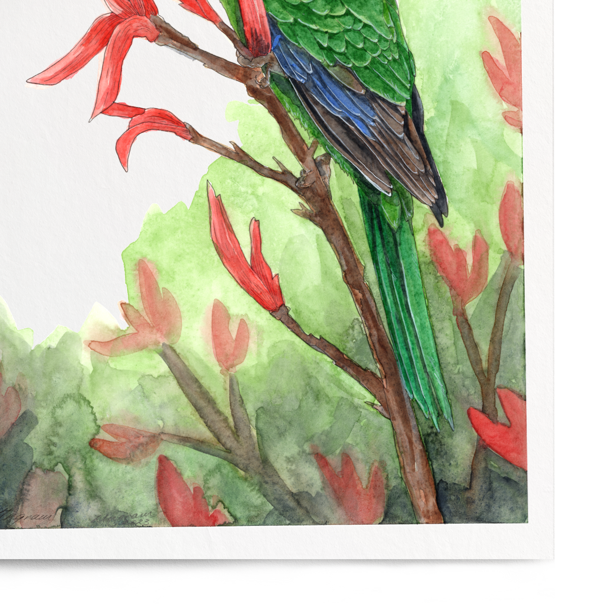 Framed artwork of a green parrot on red leaves with a white border
