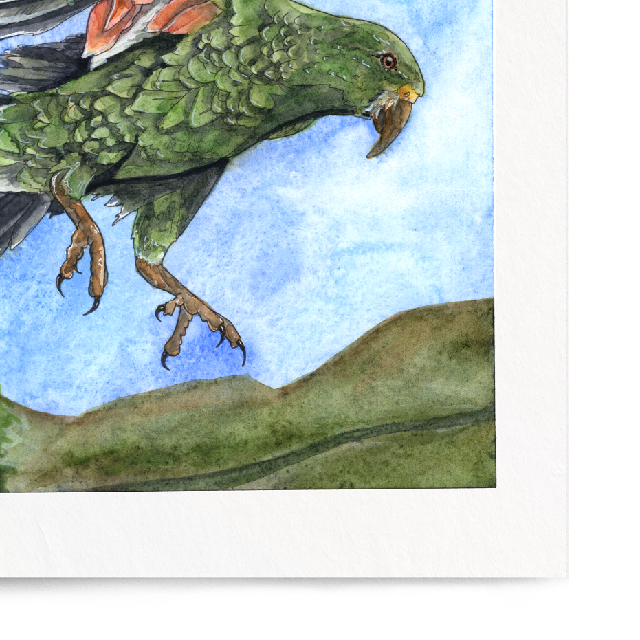 Framed artwork of a parrot with open wings against a blue sky and green landscape.