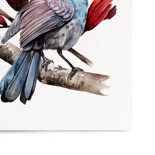 Art print of a bird perched on a branch with red flowers on a white background