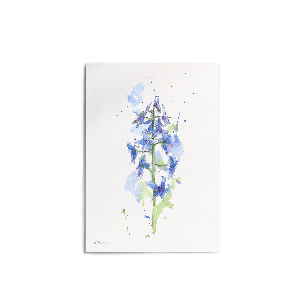 "Larkspur" Print