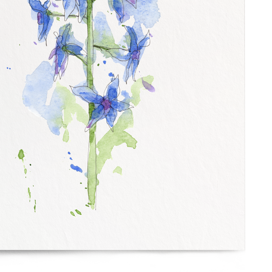 Framed artwork of bluebell flowers on a white background