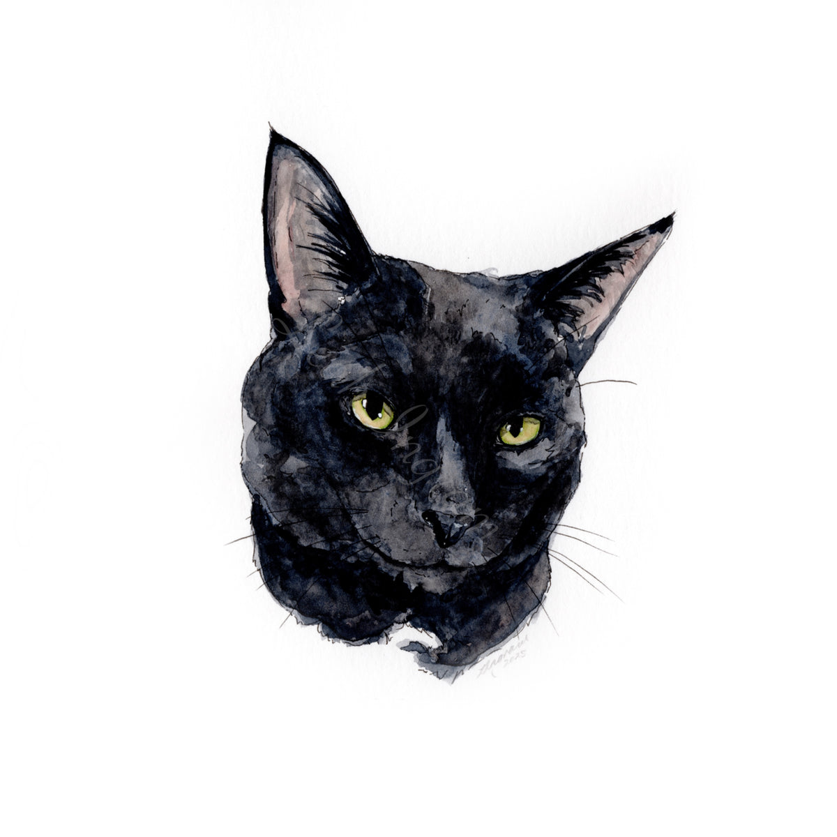 Mini Pet Portrait