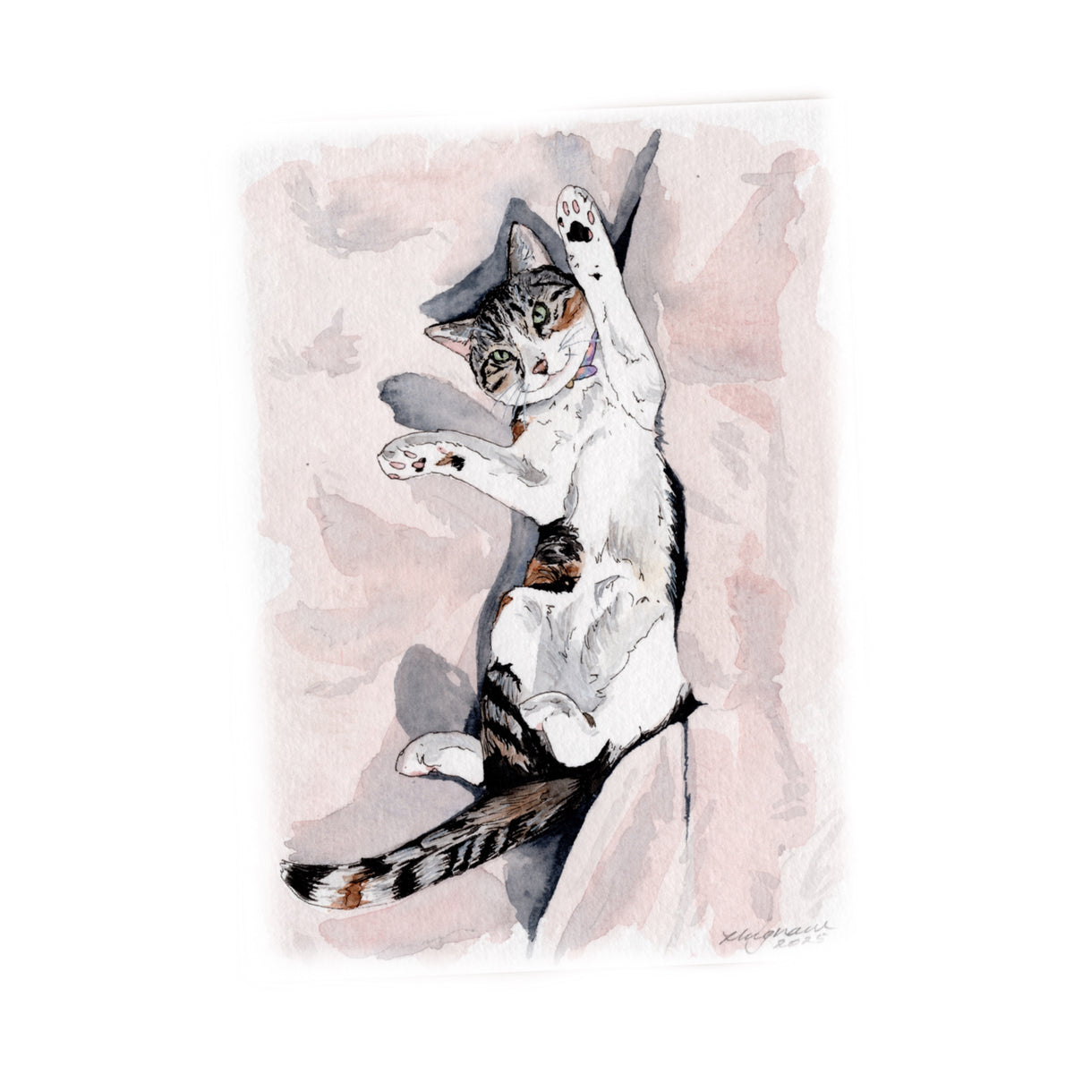 Mini Pet Portrait