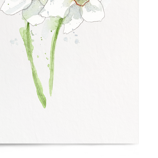 Art print of two white flowers with green stems on a light gray background