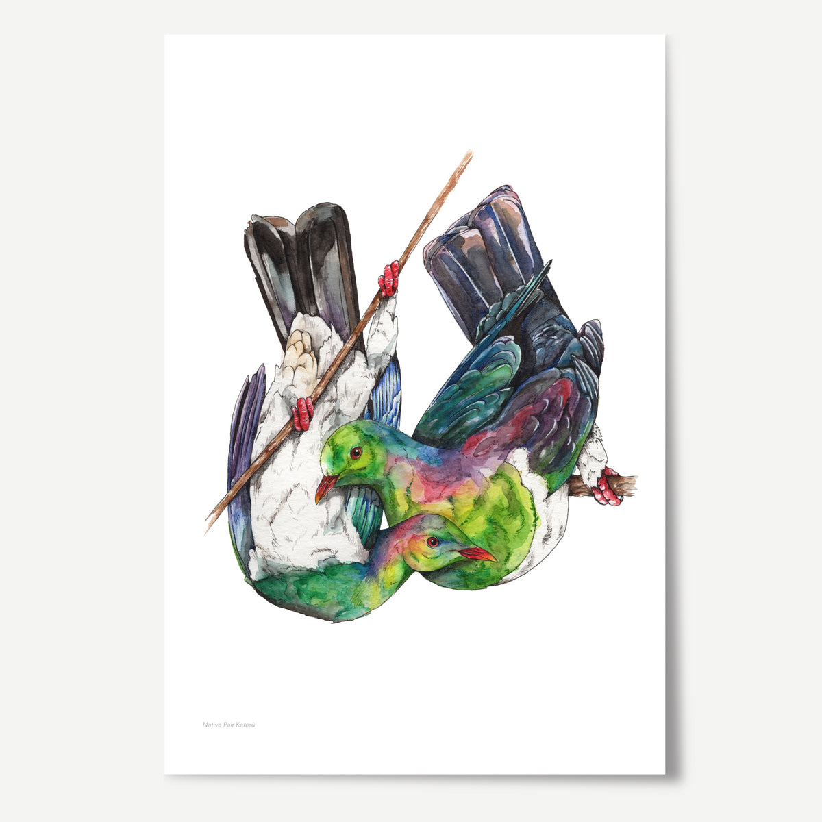 Native Pair Kererū Print