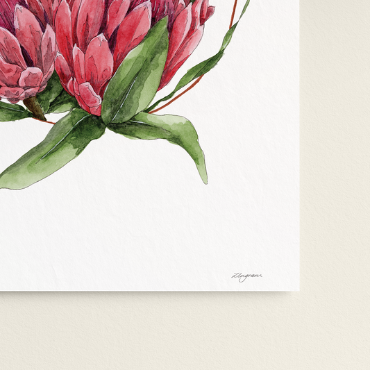 "Proteas Wreath" Print
