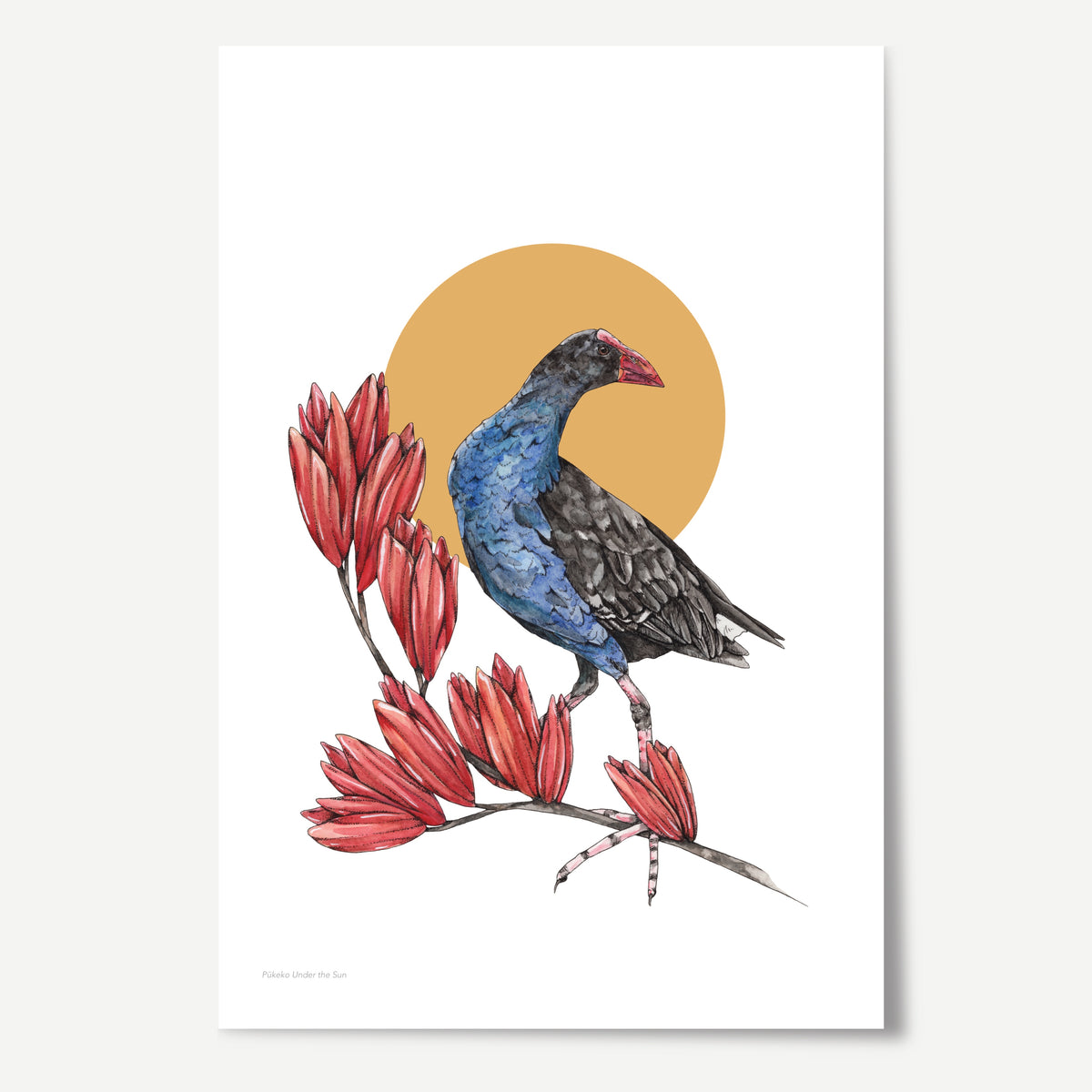 Pūkeko Under the Sun Print