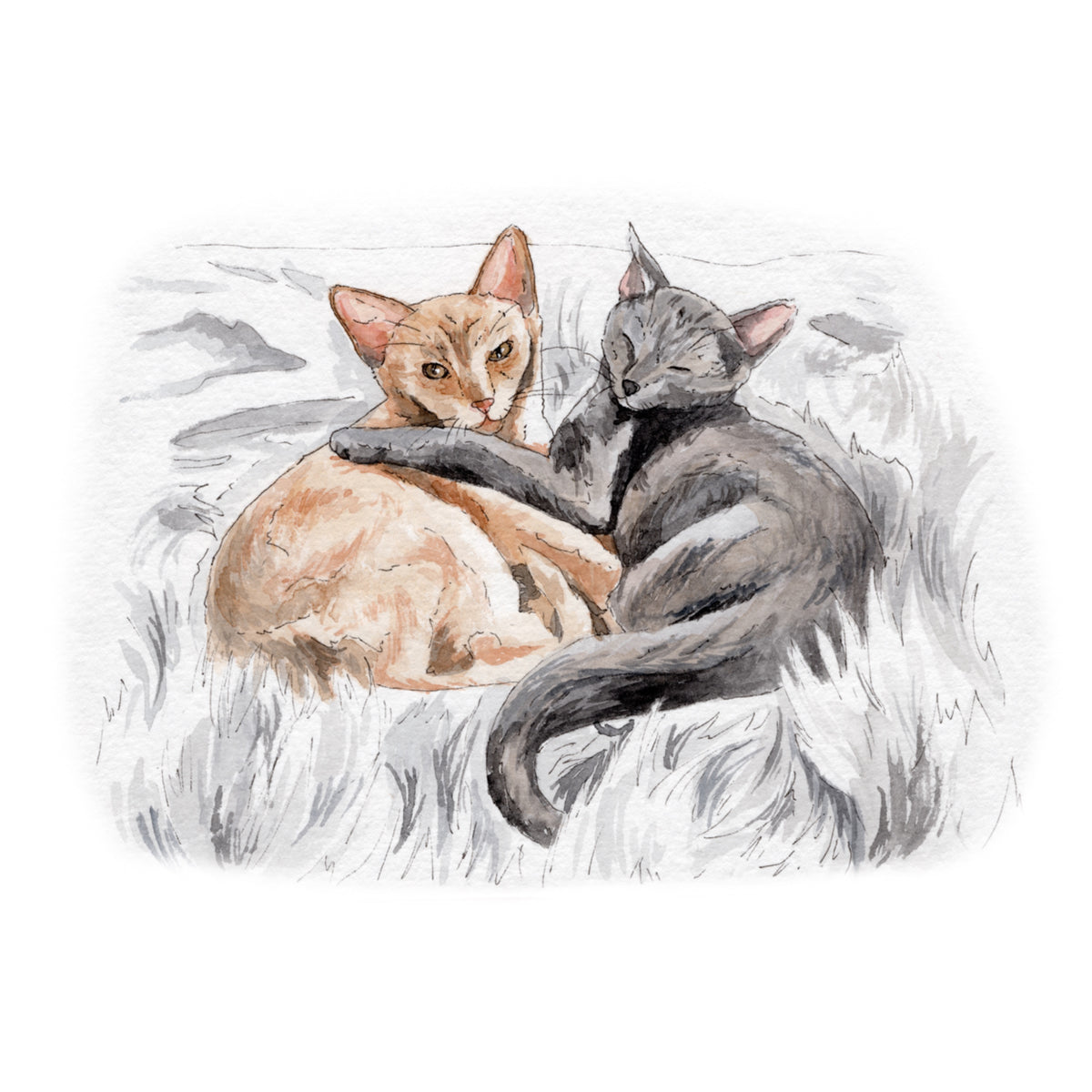Mini Pet Portrait