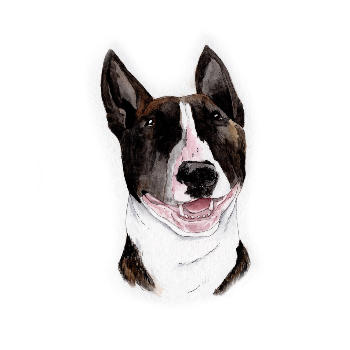 Mini Pet Portrait