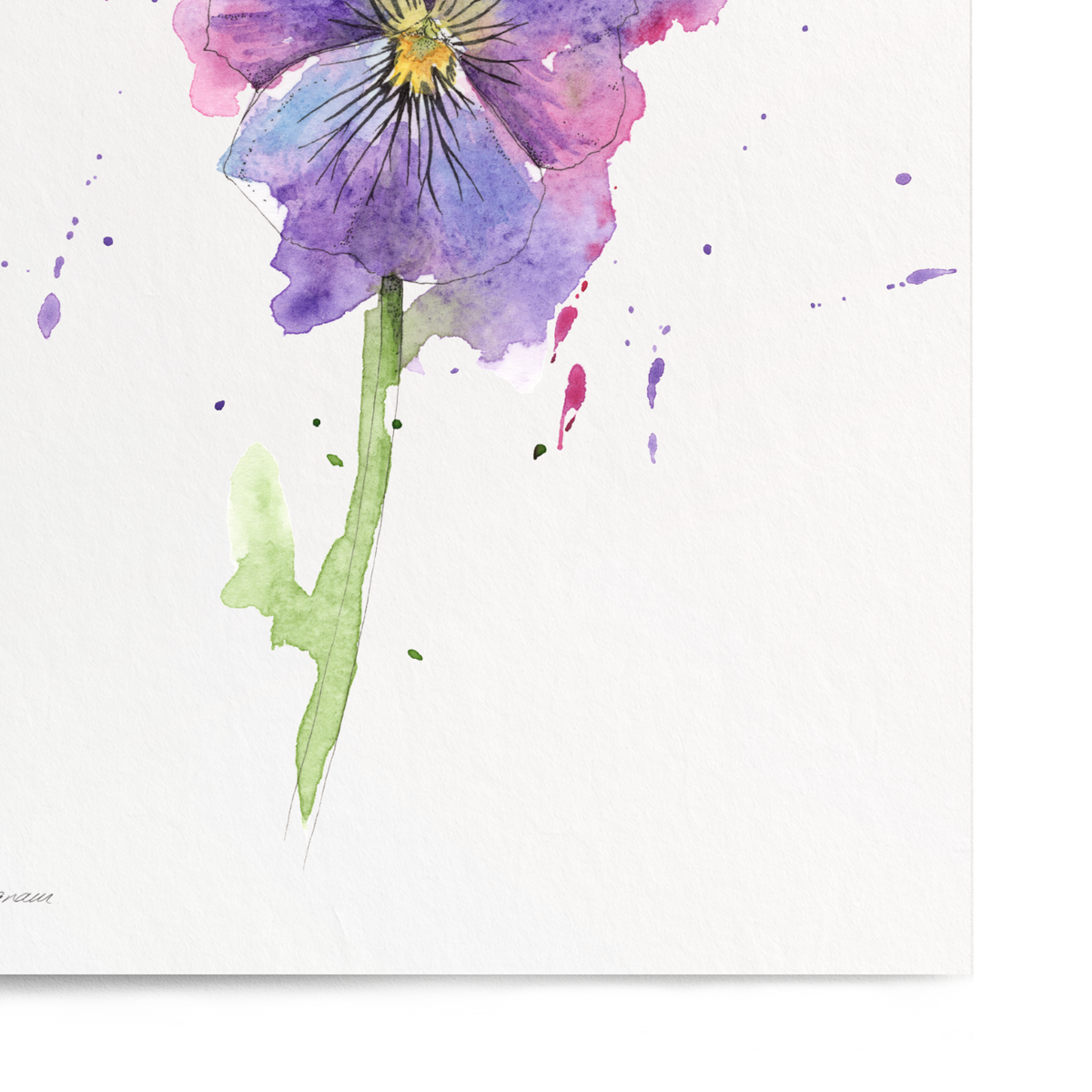 Watercolor painting of a purple flower on a white background